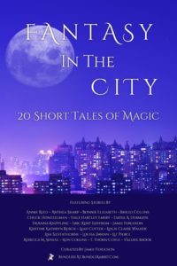 Fantasy in the City bundle cover