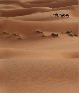 Desert 03